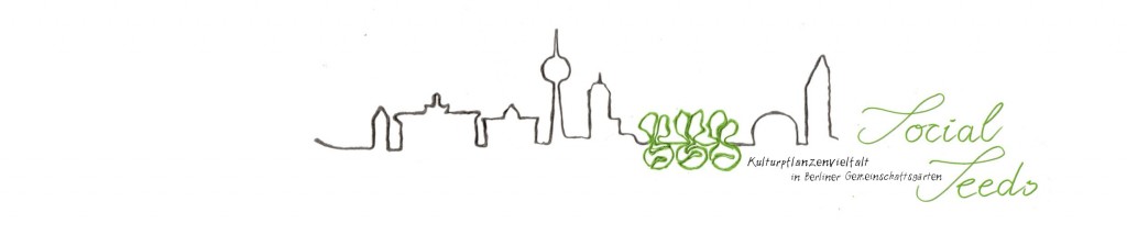 Logo_socialseeds_2012